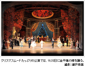 「くるみ割り人形」クリスマスムードたっぷりの公演では、18,22日に金平糖の精を踊る。 撮影: 瀬戸秀美